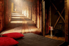 Ginas Tango Rosa Berlin – Wir suchen Dich!