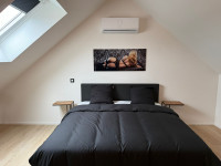 Onfhankelijke dames gezocht