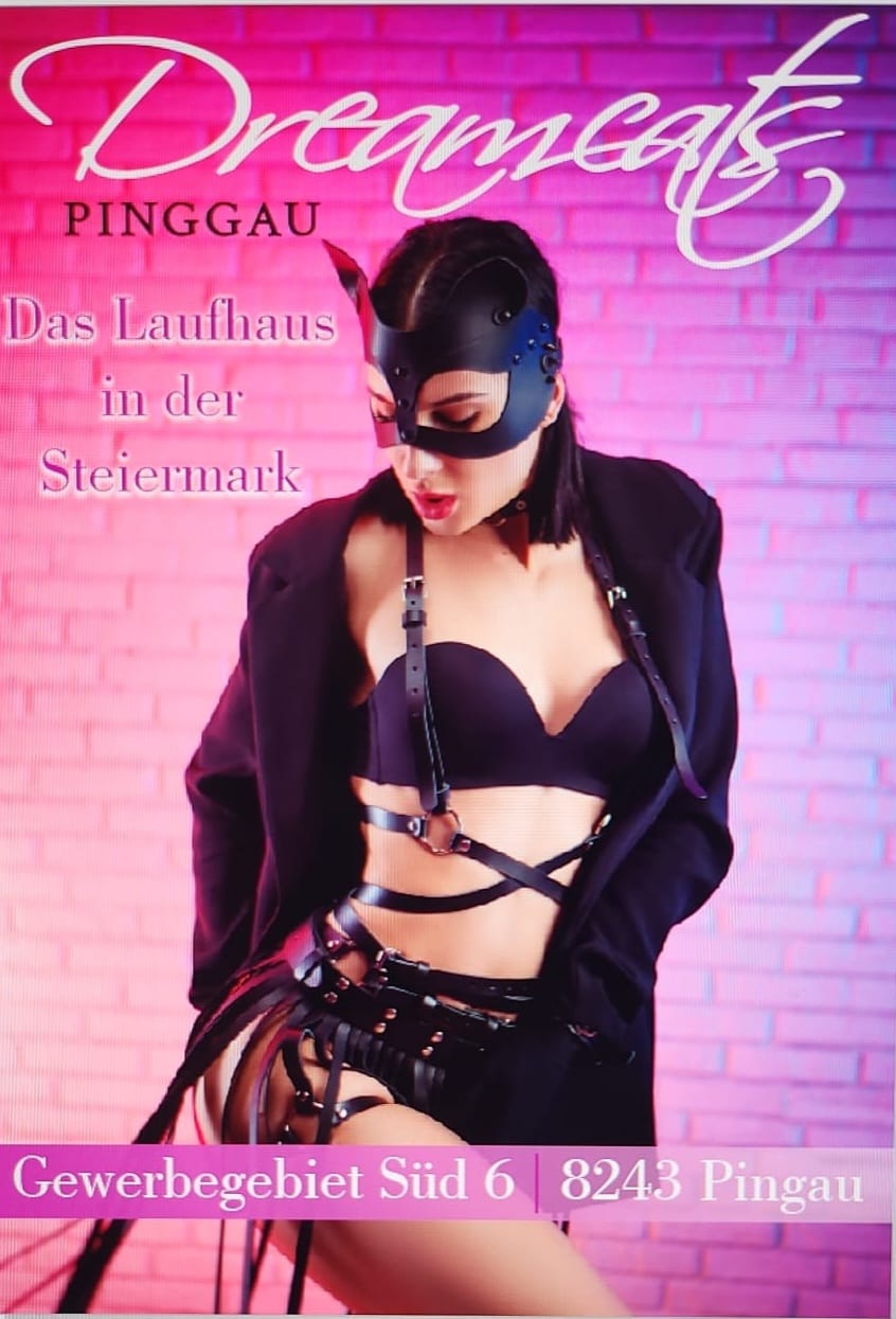 Dreamcats Pinggau