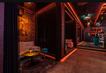 Luxusný VIP klub vo Viedni – Prijímame nové dievčatá!