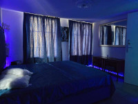 NEU !! Maison des Lys- CH - St. Gallen sucht nette Damen